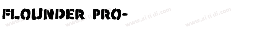 Flounder Pro字体转换